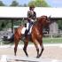 Tennessean Dressage Show at Brownland Farm